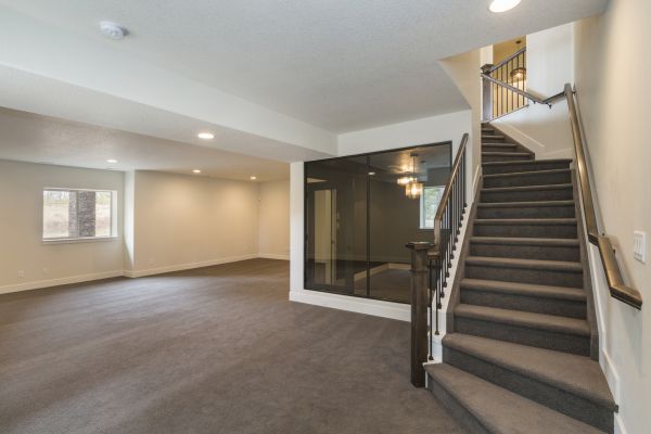 Basement Restoration Service